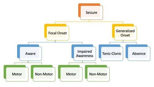 Seizure Types: 1. Focal Onset, 1a. Aware, Motor and non-motor, 1b. Impared Awareness, Motor and non-motor; 2. Generalized Onset, 2a. Tonic-Clonic, 2b. Absence