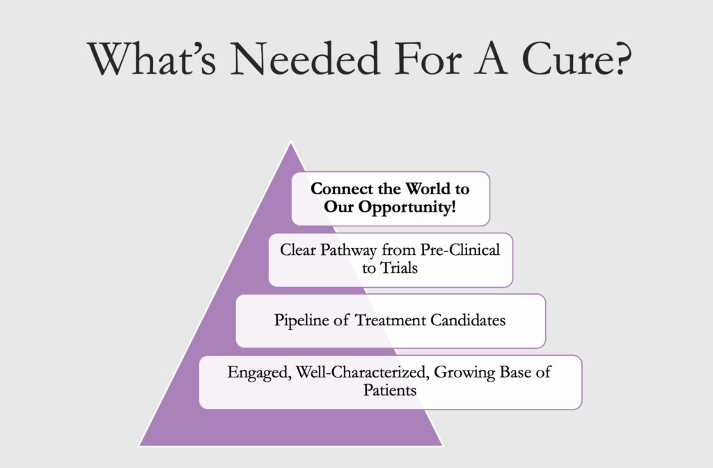 What's Needed for a Cure
