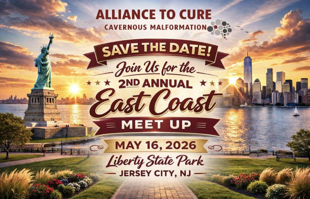 image of a park with New York City in the background. There is text overlaid that is repeated elsewhere on the page.